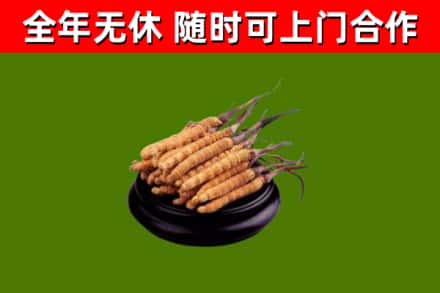 鹤岗市烟酒回收冬虫夏草.jpg